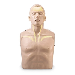 BRAYDEN BASIC - bez wskaźników - manekin BLS/AED