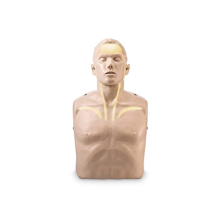 BRAYDEN BASIC - bez wskaźników - manekin BLS/AED