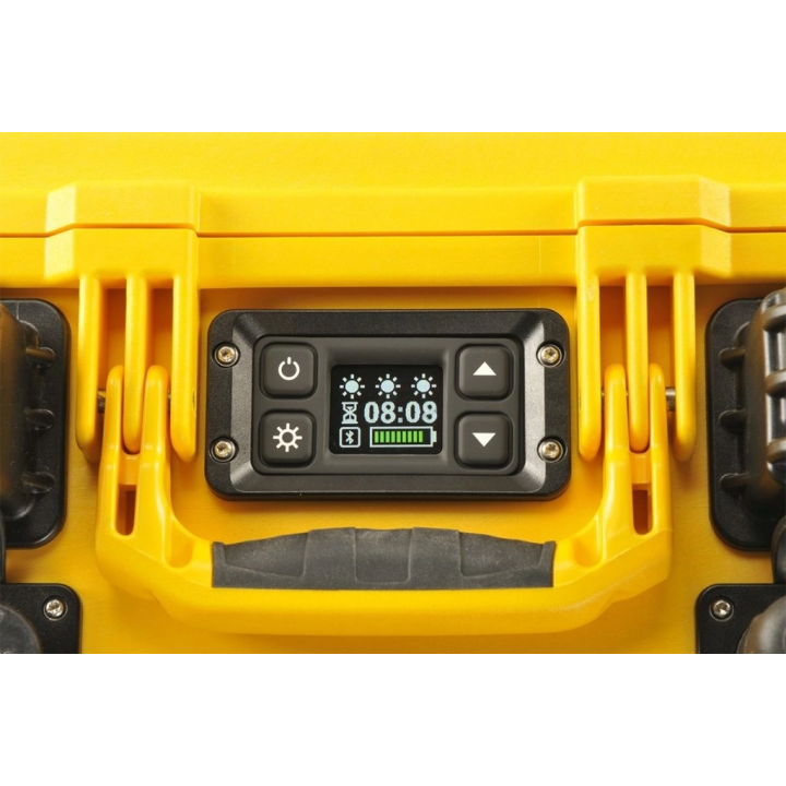 PELI RALS 9460