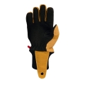 anatomic pbi s 2.jpg